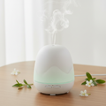 Aromatherapy Essential Oil Diffuser with LED light